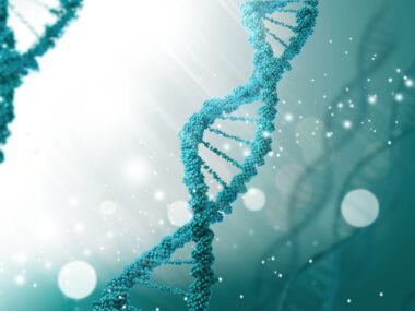 premutation carriers and fragile X