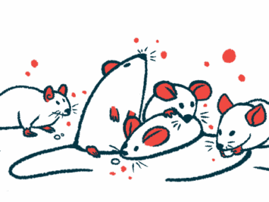 A group of mice huddle together.