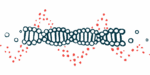 An illustration of a DNA strand highlights its double-helix structure.