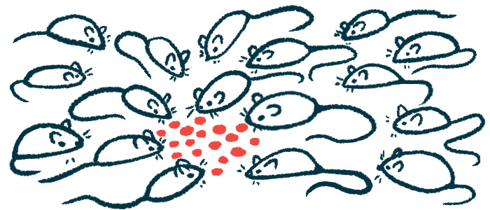 A large group of mice congregate around a pile of food.